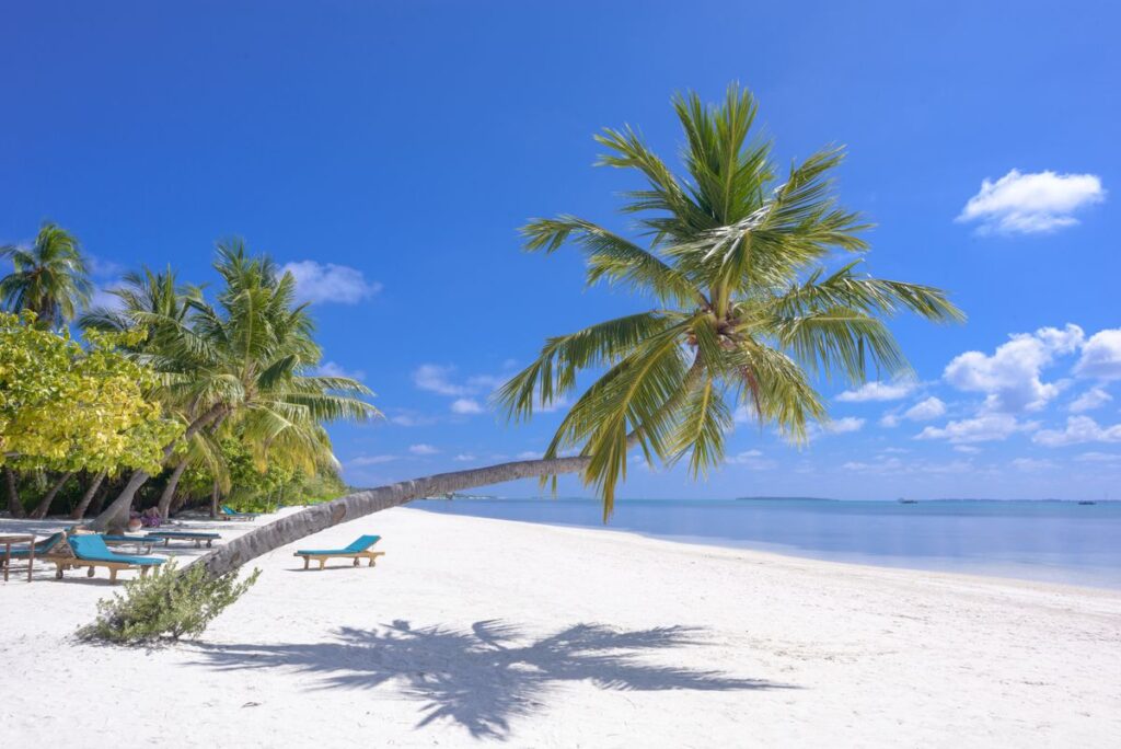Traumstrand – Sicher reisen 2026: die besten Urlaubsziele